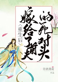 重生後我嫁給了前夫的死對頭