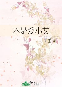 不是爱小艾