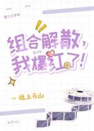 组合解散,我爆红了!